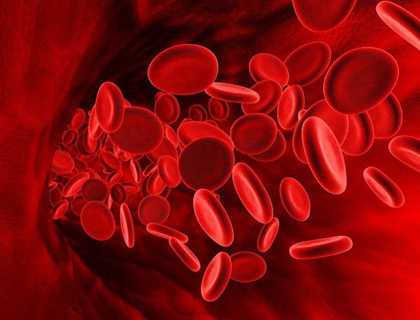 Как разжижать кровь в домашних условиях
