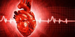 Виды аритмии сердца