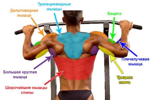 Подтягивание